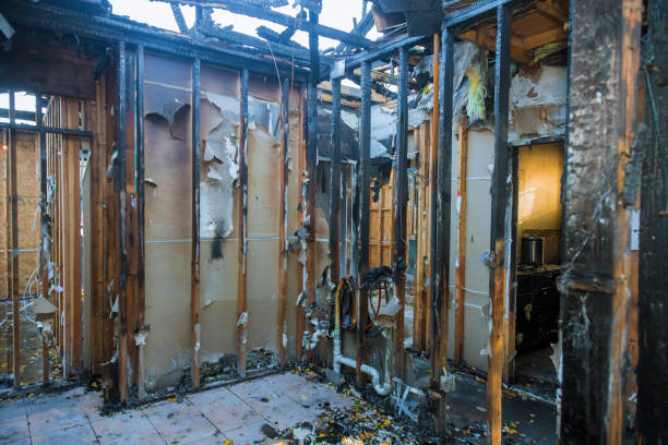 Professional Smoke Damage Removal technician working in St. Marys, OH